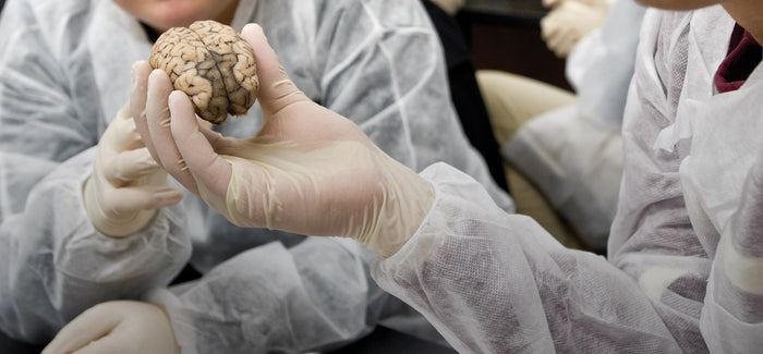 Boston University’s Chronic Traumatic Encephalopathy (CTE) Center