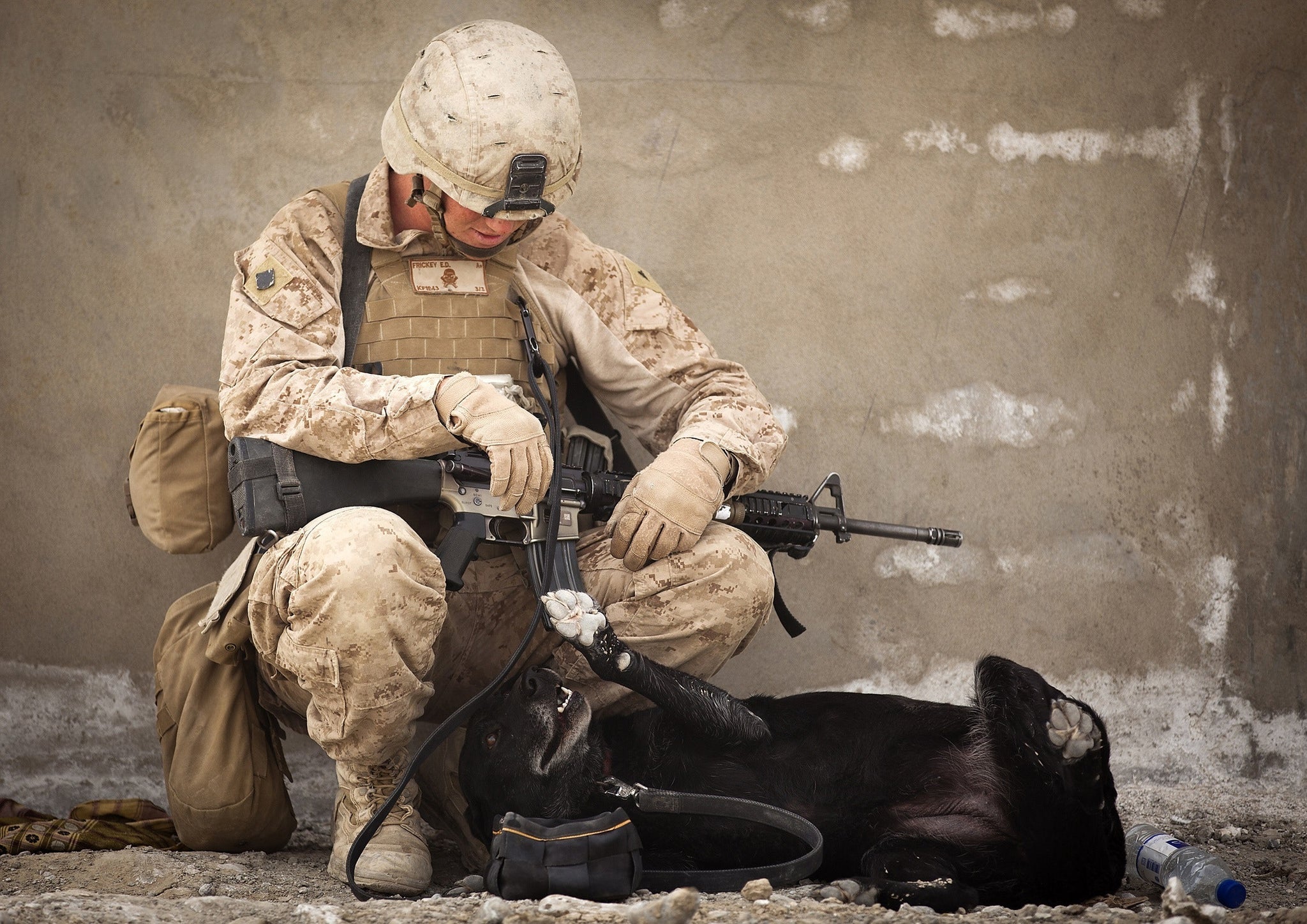 Combat veterans coming home with CTE