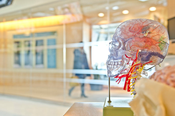 TBI: Like a fire in the brain
